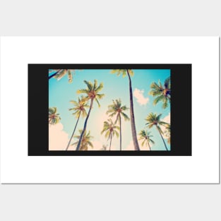 Tamea Palms Posters and Art